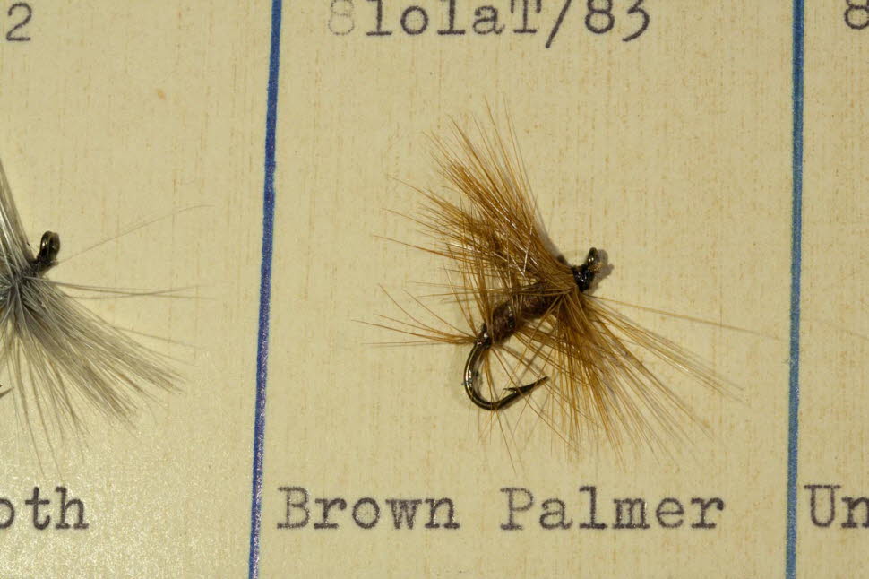 Brown Palmer