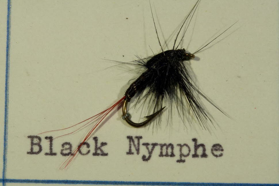 Black Nymph